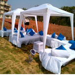 Canopies 11x11